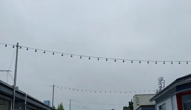 清洁误区：专业消杀服务在不同场景的适用条件分析